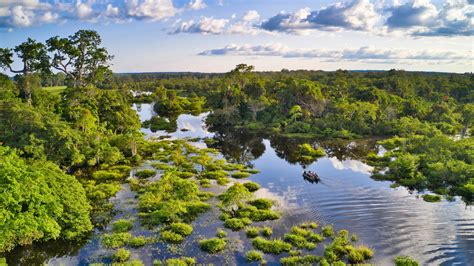 congo basin